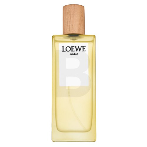 Loewe Agua de Loewe EDT U 50 ml 50 Kvepalai