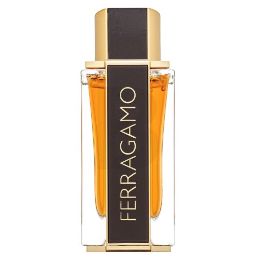 Salvatore Ferragamo Spicy Leather Special Edition EDP M 100 ml 100 Kvepalai