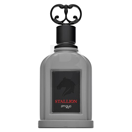 Zimaya Stallion EDP M 100 ml 100 Kvepalai