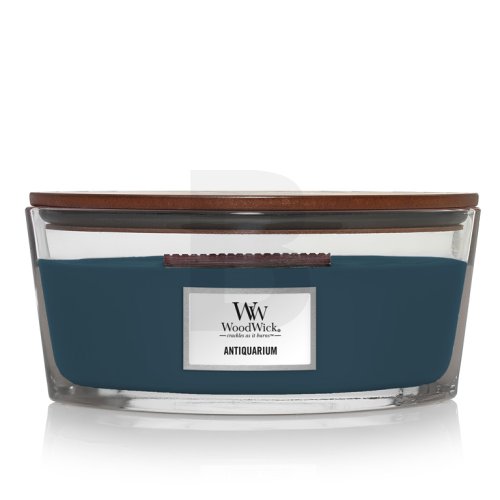 Woodwick Antiquarium 453,6 g 454 namų kvapas