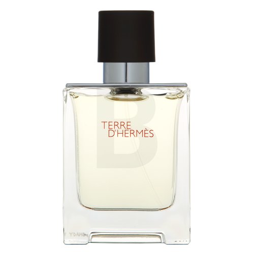 Hermes Herm&egrave;s Terre D'Hermes EDT M 50 ml 50 Kvepalai
