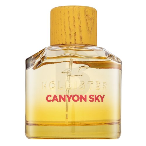Hollister Canyon Sky For Her EDP W 100 ml 100 Kvepalai