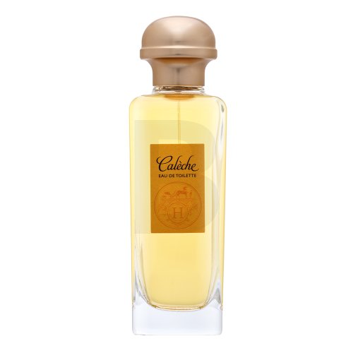 Hermes Hermes Caleche EDT W 100 ml 100 Kvepalai