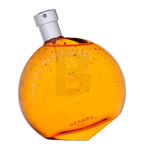 Hermes Herm&egrave;s Elixir Des Merveilles EDP W 100 ml 100 Kvepalai