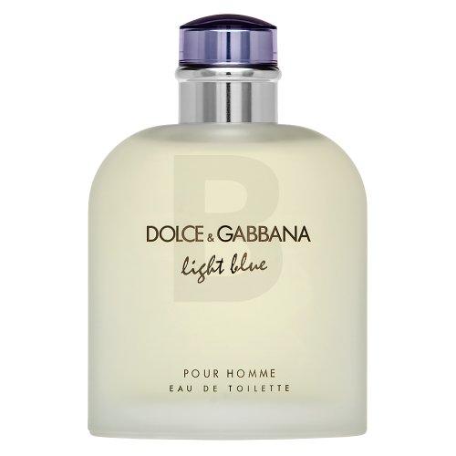 Dolce & Gabbana Light Blue Pour Homme EDT M 200 ml 200 Kvepalai