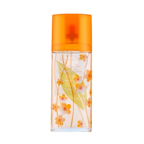 Elizabeth Arden Green Tea Nectarine Blossom EDT W 100 ml 100 Kvepalai
