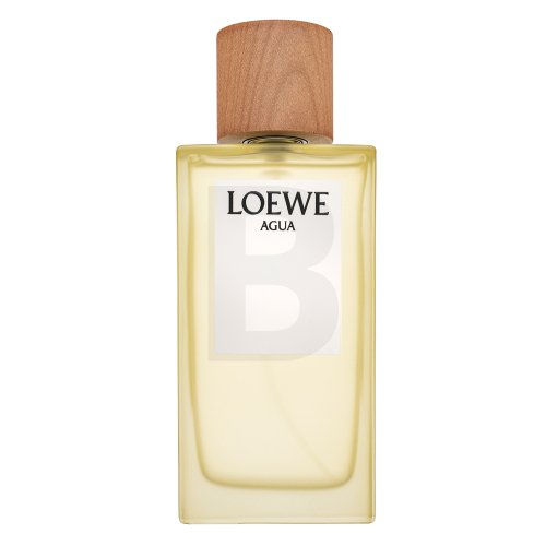 Loewe Agua de Loewe EDT U 150 ml 150 Kvepalai