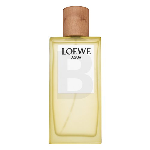 Loewe Agua de Loewe EDT U 100 ml 100 Kvepalai