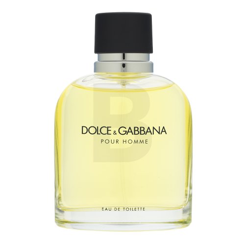 Dolce & Gabbana Pour Homme EDT M 125 ml 125 Kvepalai