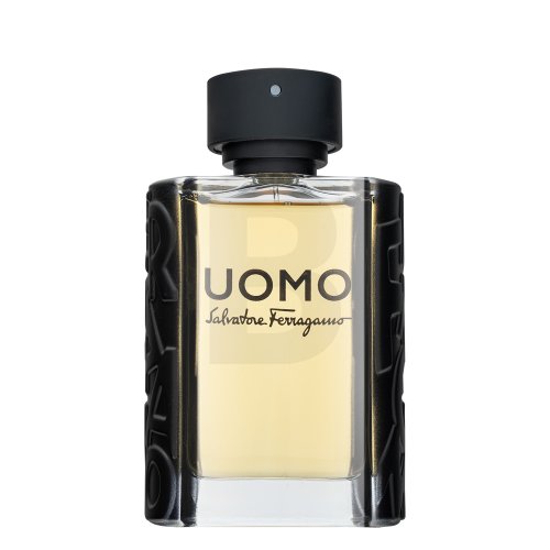 Salvatore Ferragamo Uomo EDT M 100 ml 100 Kvepalai