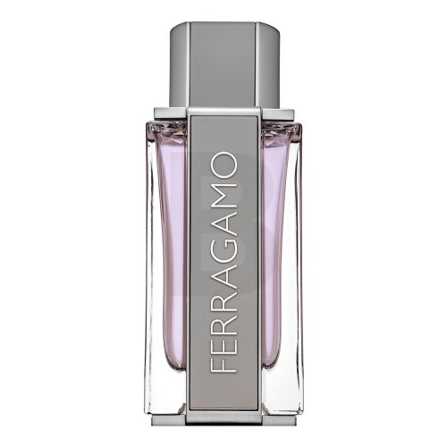 Salvatore Ferragamo Ferragamo Bright Leather EDT M 100 ml 100 Kvepalai