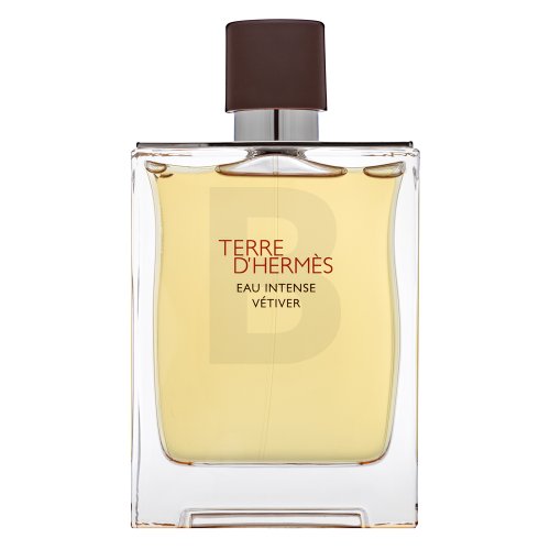 Hermes Hermes Terre D'Hermes Eau Intense Vetiver EDP M 200 ml 200 Kvepalai