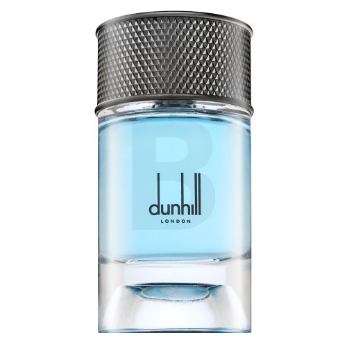 Dunhill Signature Collection Nordic Fougere EDP M 100 ml 100 Kvepalai