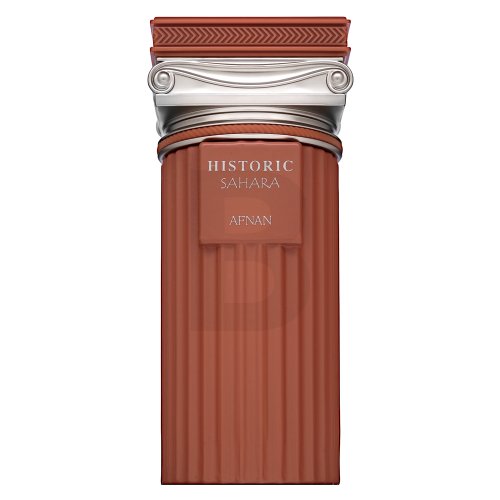 Afnan Afnan Historic Sahara PAR U 100 ml 100 Kvepalai