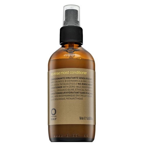 OWAY No-rinse Moist Conditioner 160 ml 160