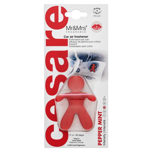 Mr&Mrs Fragrance Cesare Car Air Freshener Pepper Mint namų kvapas