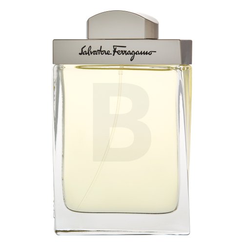 Salvatore Ferragamo Pour Homme EDT M 100 ml 100 Kvepalai