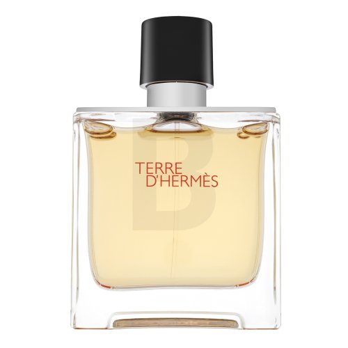 Hermes Herm&egrave;s Terre D'Hermes PAR M 75 ml 75 Kvepalai
