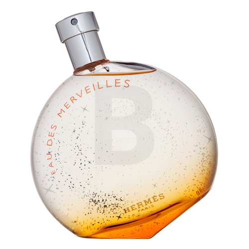Hermes Herm&egrave;s Eau des Merveilles EDT W 100 ml 100 Kvepalai