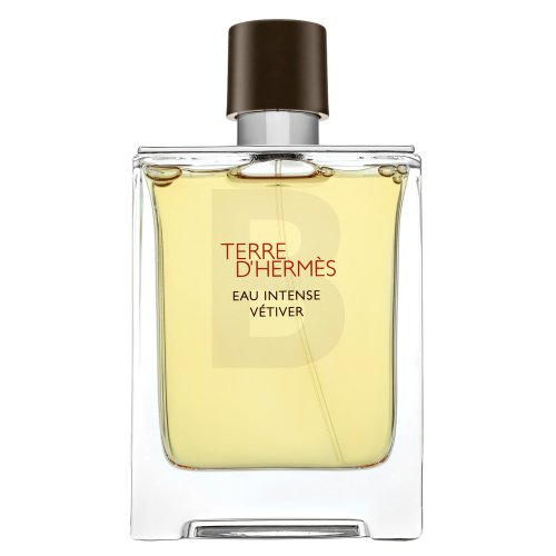 Hermes Hermes Terre D'Hermes Eau Intense Vetiver EDP M 100 ml 100 Kvepalai