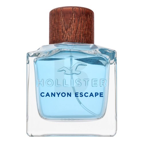 Hollister Hollister Canyon Escape EDT M 100 ml 100 Kvepalai