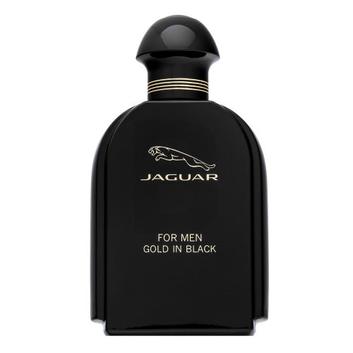 Jaguar For Men Gold in Black EDT M 100 ml 100 Kvepalai