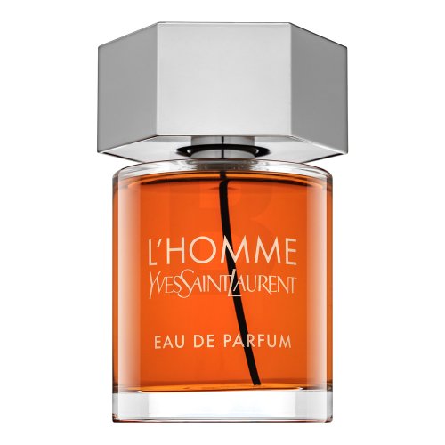 Yves Saint Laurent L'Homme EDP M 100 ml 100 Kvepalai