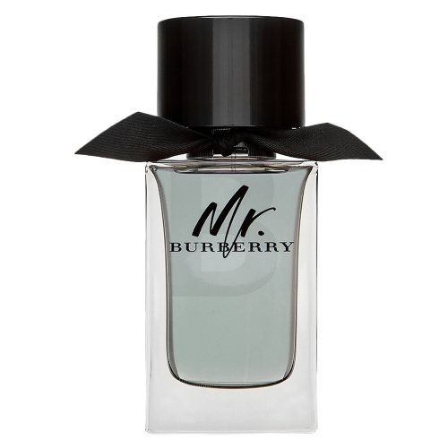 Burberry Mr. Burberry EDT M 100 ml 100 Kvepalai