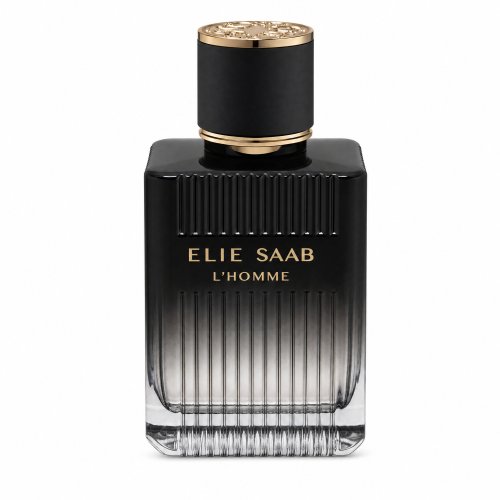 Elie Saab L&rsquo;Homme EDP M 100 ml 100 Kvepalai