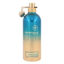 Montale Paris Aoud Lagoon 50ml NI&Scaron;INIAI Kvepalai Vyrams EDP