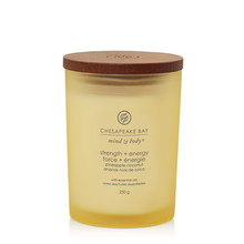 Chesapeake Bay Strength & Energy Candle ( medium tumbler ) 250.0g namų apyvokos priemonė