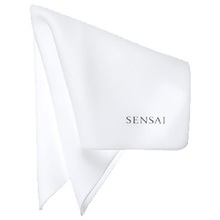 Sensai Sponge Chief Moterims