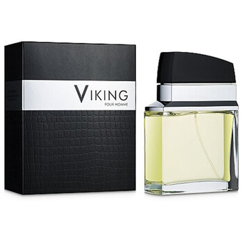 Flavia Viking Pour Homme 100ml Kvepalai Vyrams EDP