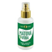 Purity Vision Bio Mint water 100ml Moterims