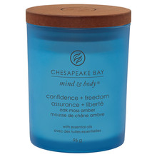 Chesapeake Bay Confidence & Freedom Candle ( tumbler mal&yacute; ) - Vonn&aacute; sv&iacute;čka 96.0g namų apyvokos priemonė