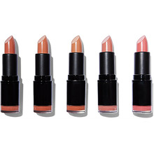 Makeup Revolution Revolution PRO Bare Lipstick Collection ( 5 pcs ) 3,2 g Moterims