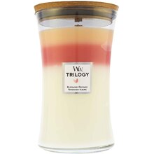 WoodWick Blooming Orchard Trilogy Vase ( Blooming Orchard ) 609.0g namų apyvokos priemonė