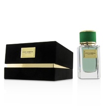 Dolce Gabbana  Velvet Cypress 150ml Kvepalai Unisex EDP