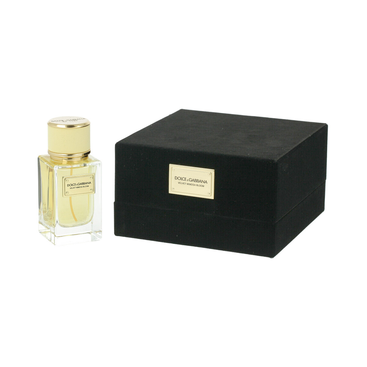 Dolce & Gabbana Velvet Mimosa Bloom 50ml kvepalai Moterims EDP