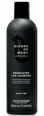 AlfaParf Milano Apm Blends Of Many Energ.Low Shampoo 250ml šampūnas