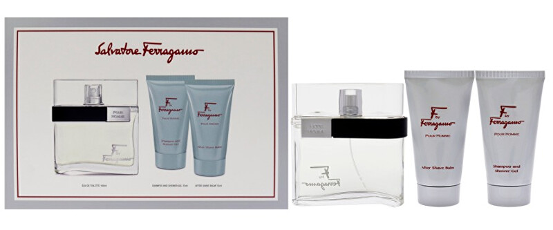 Salvatore Ferragamo F By Ferragamo Pour Homme - EDT 100 ml 100ml Kvepalai Vyrams
