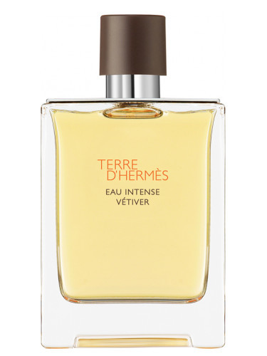 Hermes Terre D`Hermes Eau Intense Vetiver - EDP 50ml Kvepalai Vyrams EDP