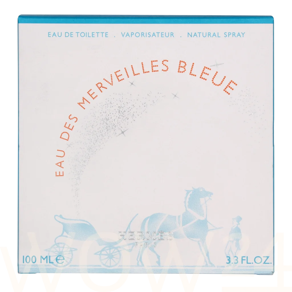 Hermes Hermes Eau Des Merveilles Bleue Edt Spray 100 ml Kvepalai Moterims EDT