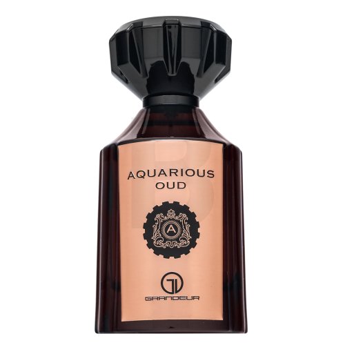 Grandeur Aquarious Oud EDP U 100 ml 100 Kvepalai