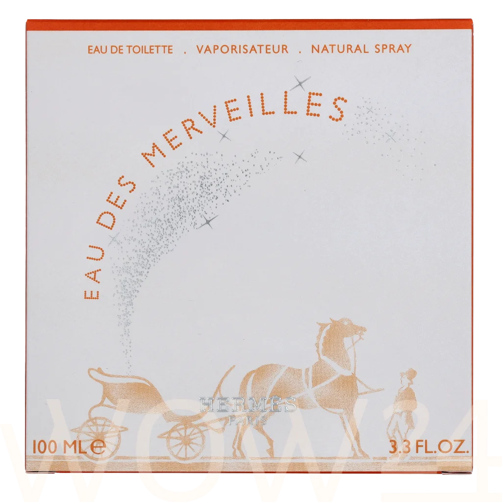 Hermes Hermes Eau Des Merveilles Edt Spray 100 ml kvepalai Moterims EDT