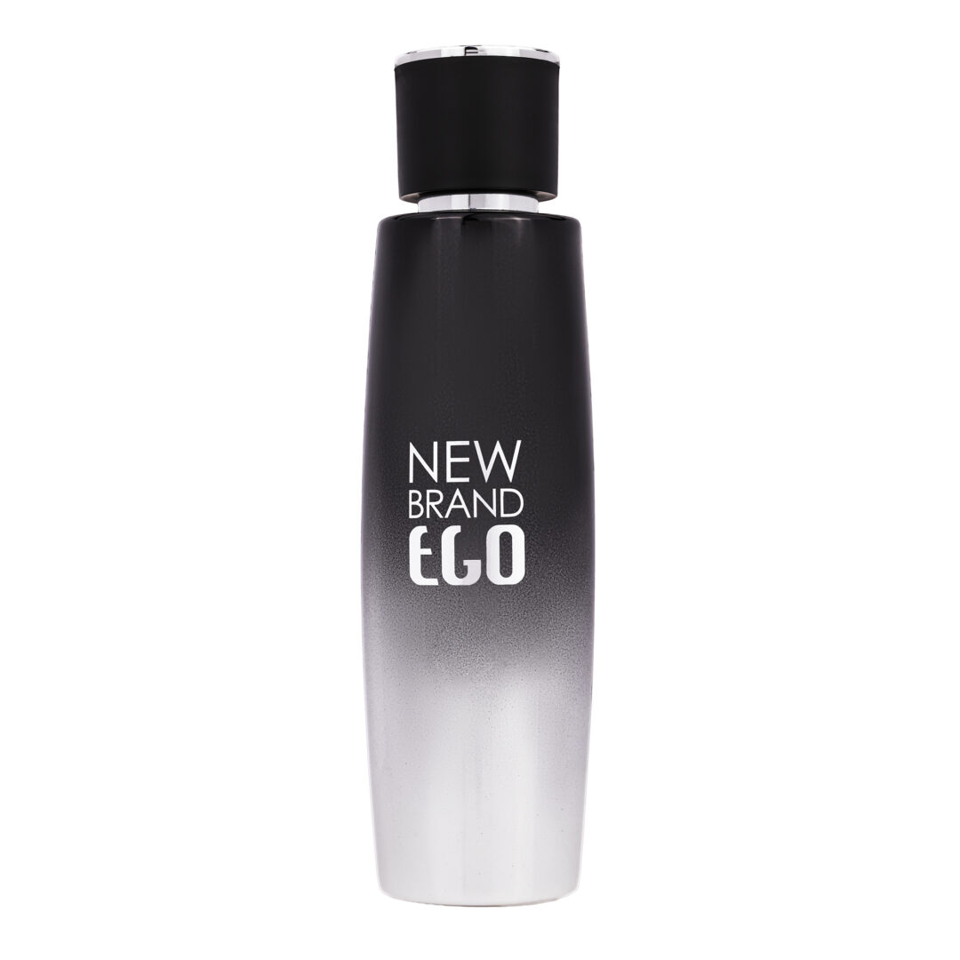 New Brand Parfums Prestige Ego Silver 100ml kvepalai Vyrams EDT