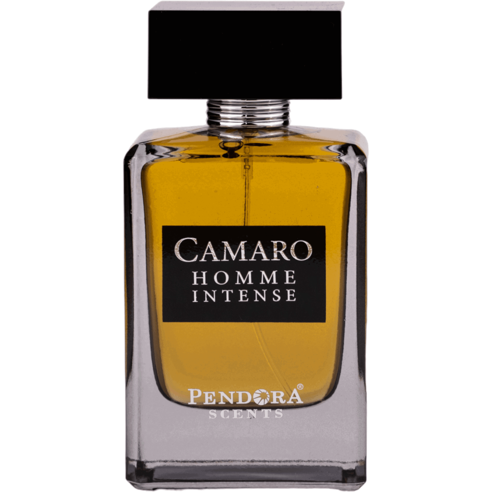 Pendora Scents Camaro Homme Intense 100ml kvepalai Vyrams EDP