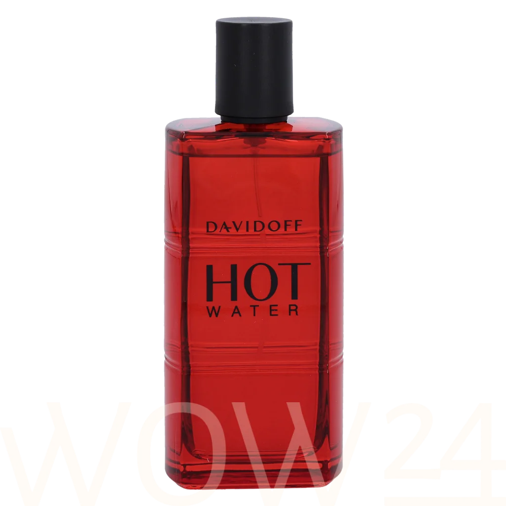 Davidoff Davidoff Hot Water Edt Spray 110 ml kvepalai Vyrams EDT