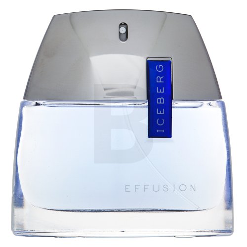 Iceberg Iceberg Effusion Man EDT M 75 ml Kvepalai