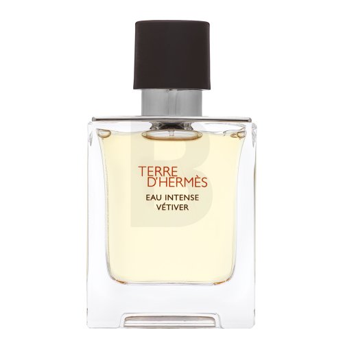 Hermes Hermes Terre D'Hermes Eau Intense Vetiver Edp Spray 50 ml kvepalai Vyrams EDP